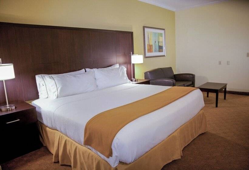 スタンダードルーム, Holiday Inn Express Hotel & Suites Houston North Intercontinental, An Ihg