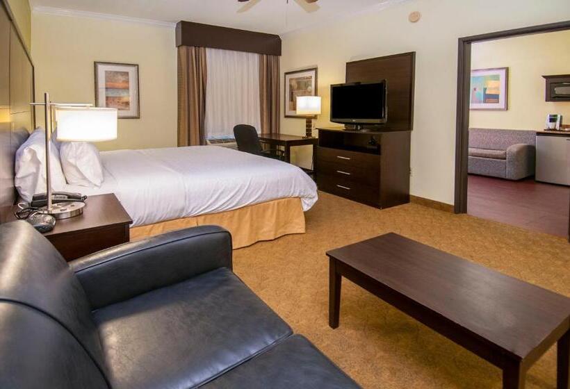 スイート, Holiday Inn Express Hotel & Suites Houston North Intercontinental, An Ihg