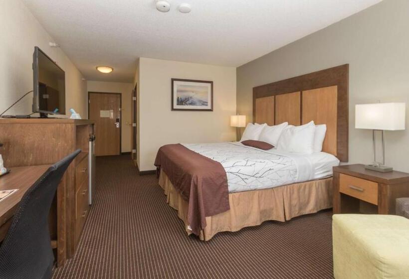 Стандартный Номер Кровать Кинг, White Pine Inn & Suites