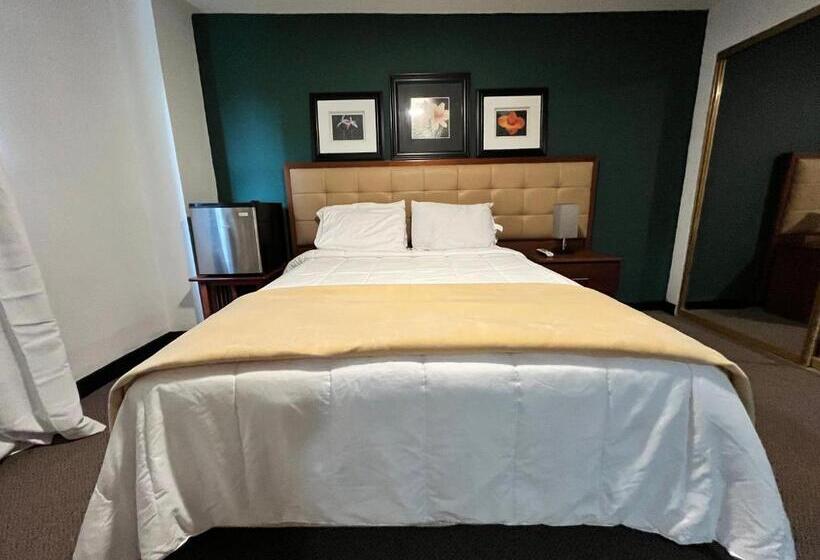 اتاق استاندارد, S.j. Suites