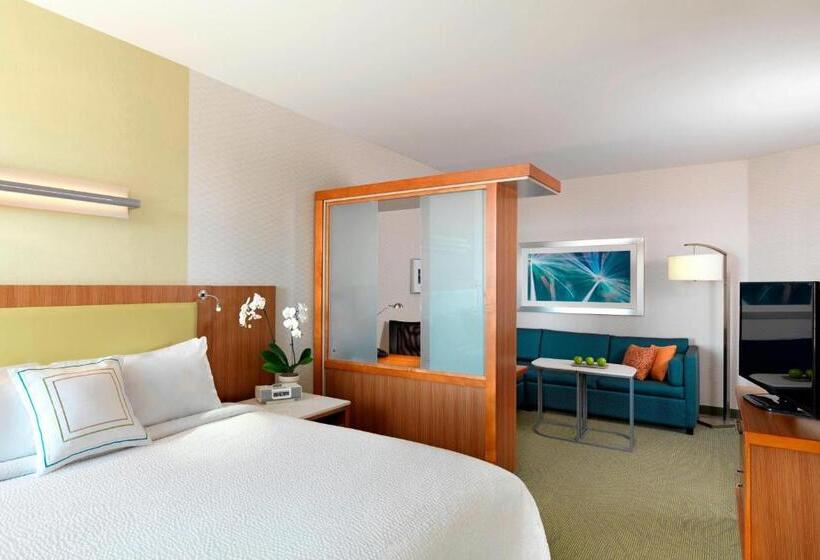 스위트 킹사이즈 침대, Springhill Suites By Marriott Lake Charles