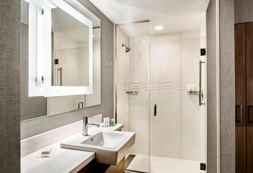 스탠다드 스튜디오 킹침대, Springhill Suites By Marriott Lake Charles