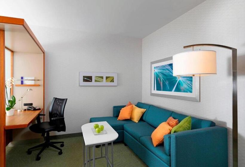 스탠다드 스튜디오 킹침대, Springhill Suites By Marriott Lake Charles