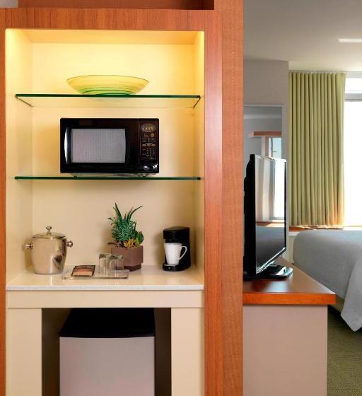 장애인을 위한 스위트, Springhill Suites By Marriott Lake Charles