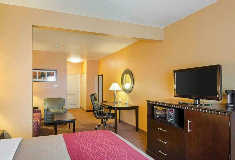 스위트 킹사이즈 침대, Comfort Inn & Suites Orange   Montpelier