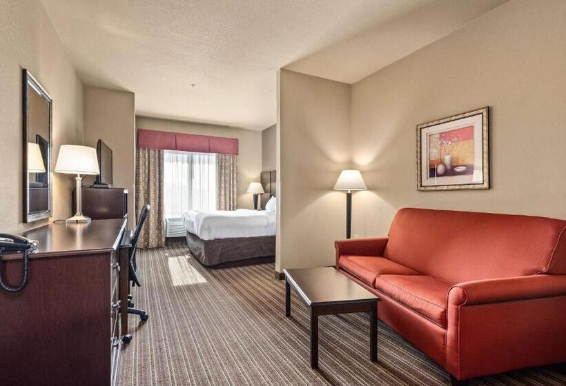 스탠다드 룸 킹사이즈 침대, Surestay Plus Hotel By Best Western Portland Route 52 West
