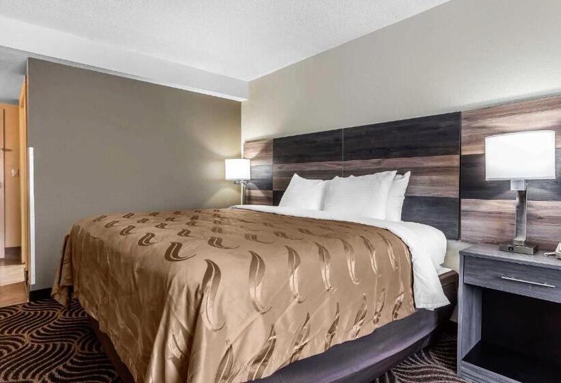 Стандартный Номер Кровать Кинг, Quality Inn & Suites