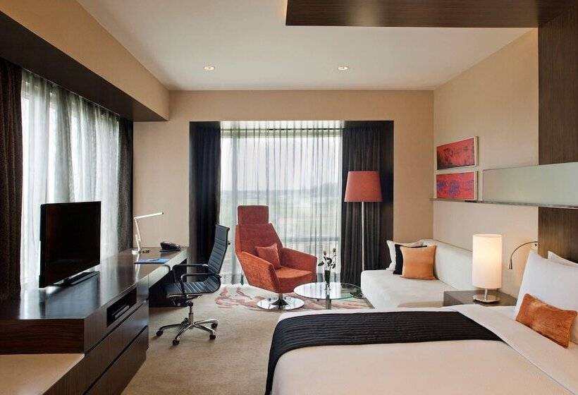 高级大房间, Radisson Blu Hotel Amritsar