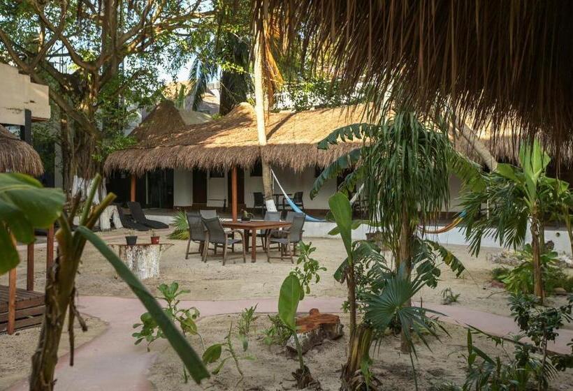 بانگلوی استاندارد, Kinta Kan Beach Hotel Boutique Playa Del Carmen