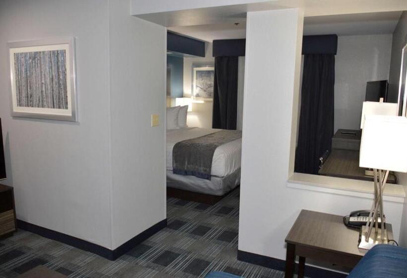 Люкс Executive Кровать Кинг, Best Western Town Center Inn