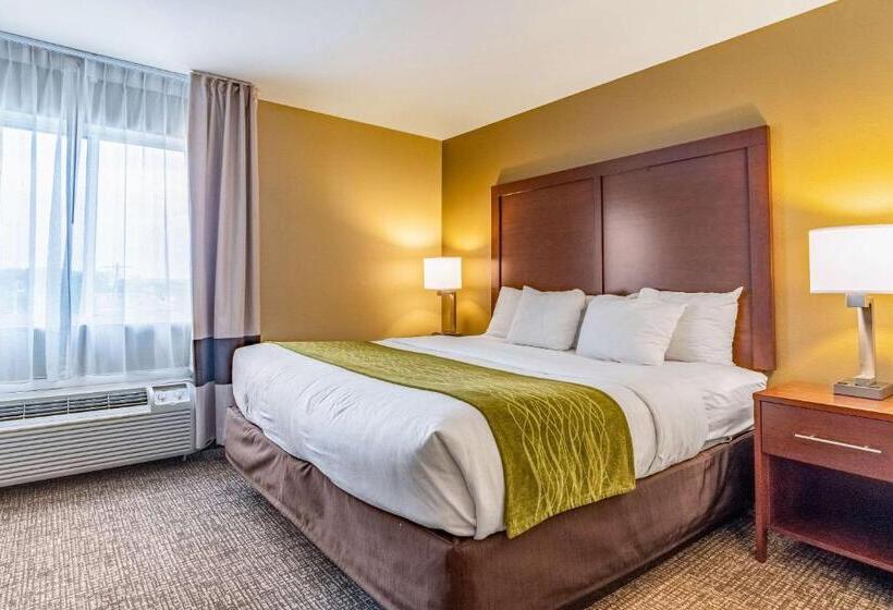 Люкс Кровать Кинг, Comfort Inn & Suites Tuscumbiamuscle Shoals