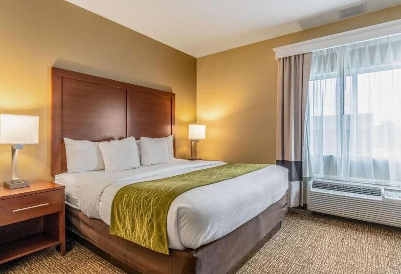 Люкс Кровать Кинг, Comfort Inn & Suites Tuscumbiamuscle Shoals
