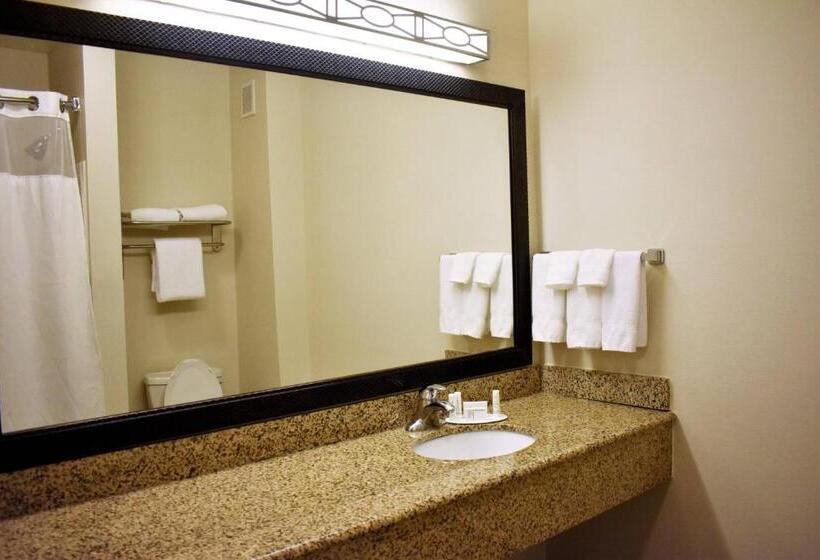 Номер Стандарт, Fairfield Inn And Suites By Marriott Strasburg Shenandoah Valley