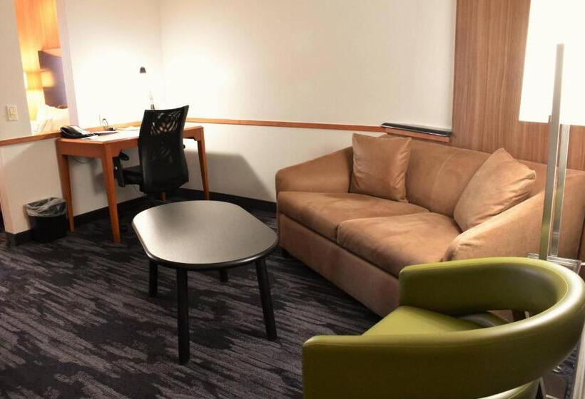 Студио Стандарт Вид на Горы, Fairfield Inn And Suites By Marriott Strasburg Shenandoah Valley