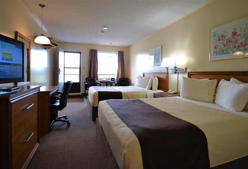 Номер Стандарт, Newmarket Inn
