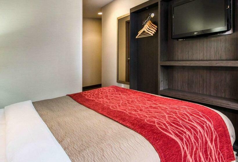 장애인을 위한 스탠다드 룸, Comfort Inn Manhattan  Midtown West