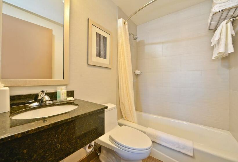 스탠다드 룸, Comfort Inn Manhattan  Midtown West