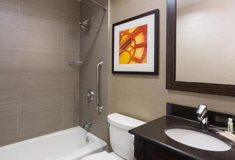 带2个双人床的标准工作室, Holiday Inn Lower East Side, An Ihg