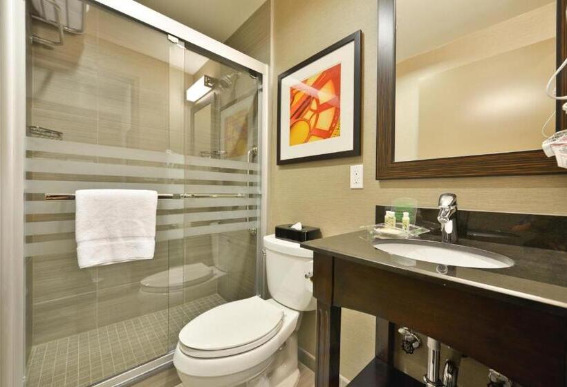 带大床的高级房间, Holiday Inn Lower East Side, An Ihg
