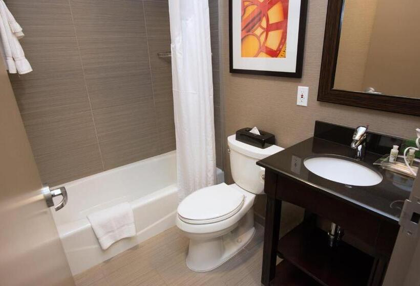 高级大房间, Holiday Inn Lower East Side, An Ihg