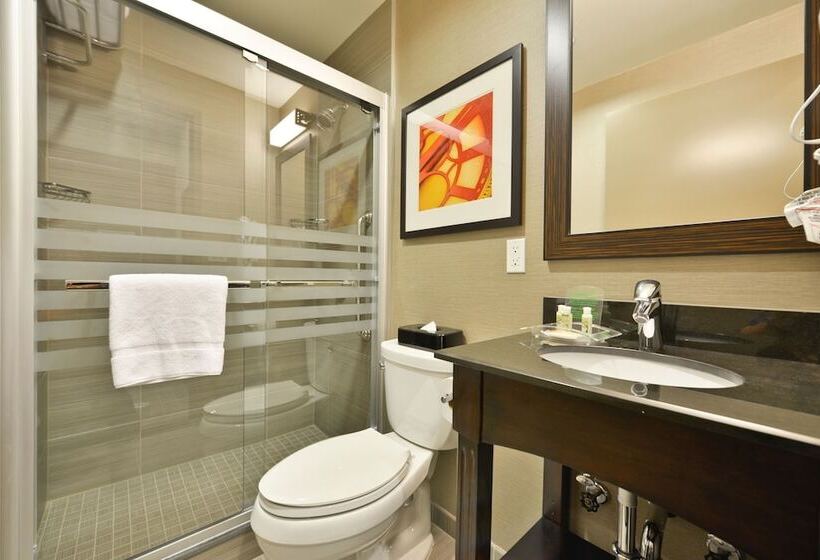 带2个双人床的标准工作室, Holiday Inn Lower East Side, An Ihg