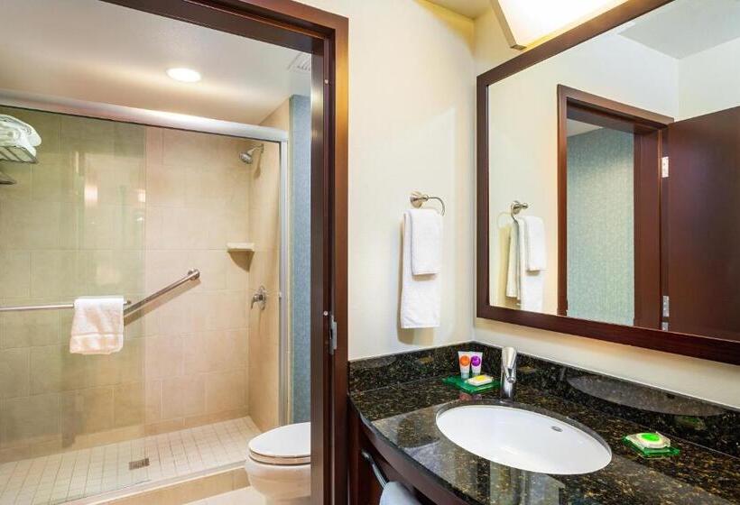 Студио Стандарт Кровать Кинг, Hyatt Place San Diego/vista Carlsbad