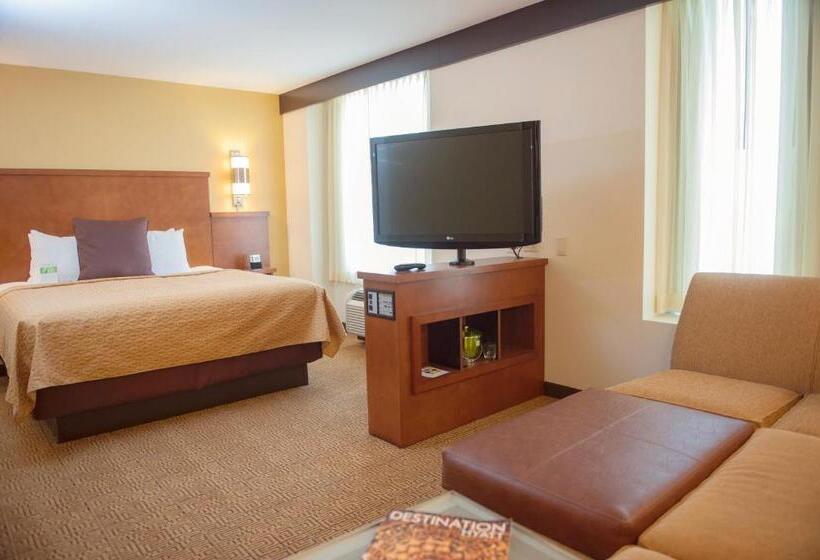 Студио Стандарт Кровать Кинг, Hyatt Place San Diego/vista Carlsbad