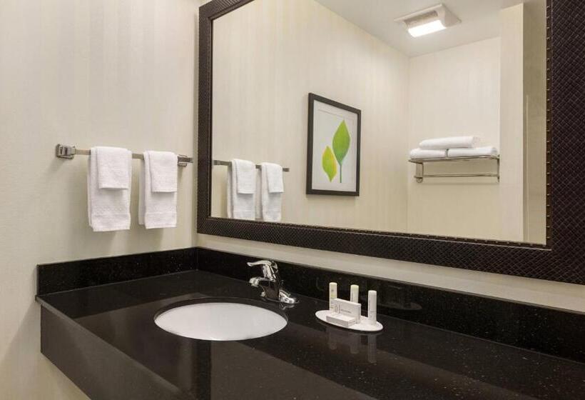 اتاق استاندارد با تخت بزرگ, Fairfield Inn & Suites Jacksonville West/chaffee Point