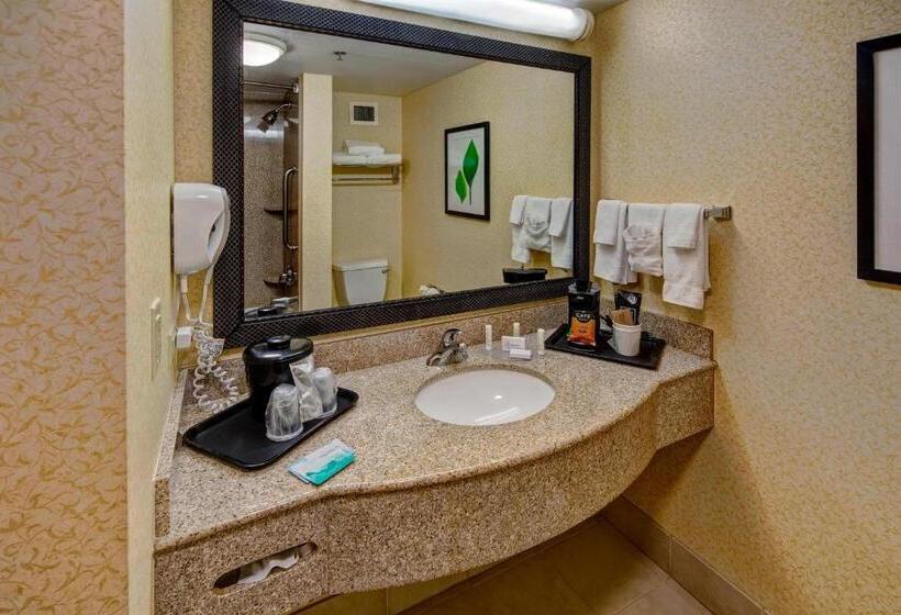 اتاق استاندارد, Stones River Inn & Suites