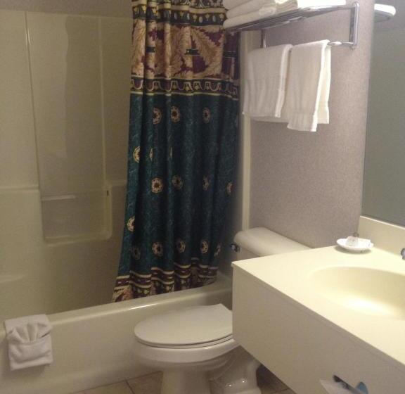 Номер Стандарт, Parkside Inn Bridgeview