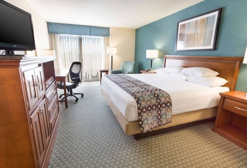 디럭스 룸, Drury Inn & Suites Birmingham Lakeshore Drive