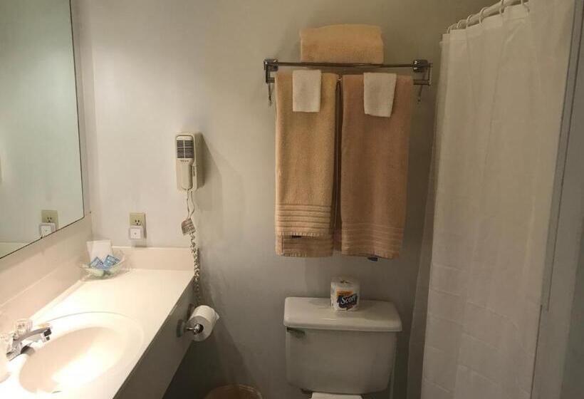 Номер Deluxe, Longhouse Lodge Motel