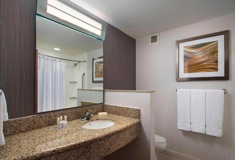 Стандартный Номер Кровать Кинг, Courtyard Republic Airport Long Island/farmingdale