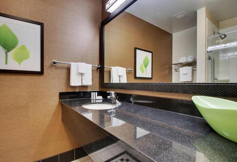 Студио Стандарт Кровать Кинг, Fairfield Inn & Suites By Marriott Ottawa Starved Rock Area