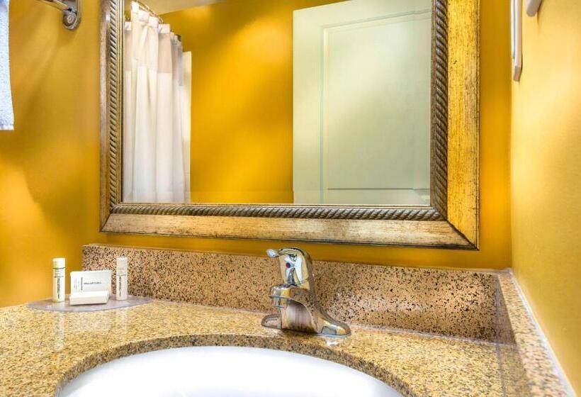 Люкс Кровать Кинг, Towneplace Suites By Marriott Baltimore Bwi Airport