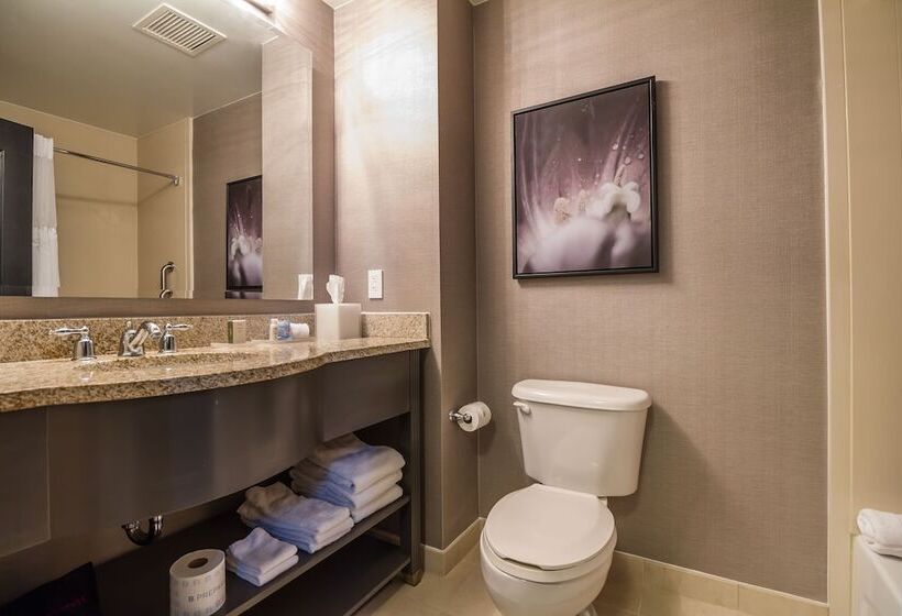 דירת חדר דלוקס, Tryp By Wyndham Savannah