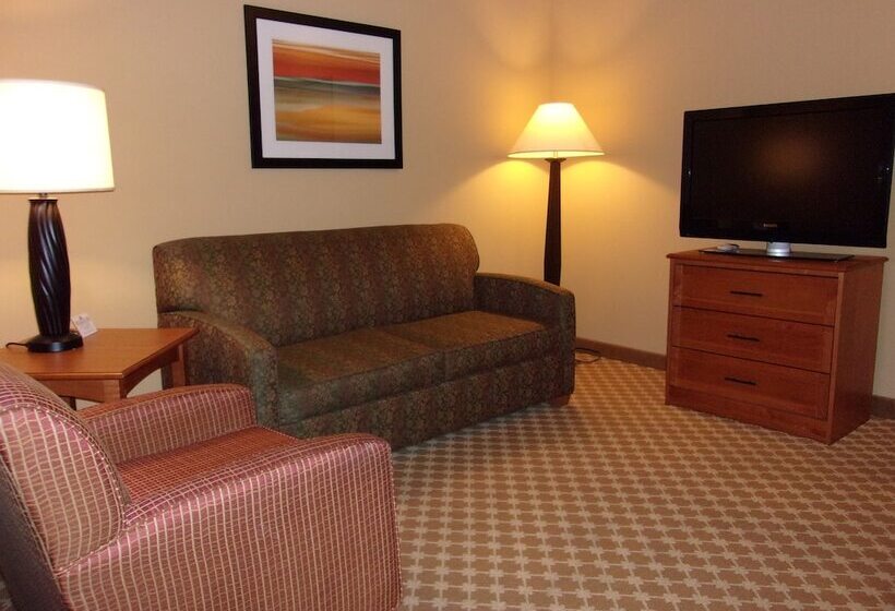 Люкс Адаптированный для Инвалидов, Holiday Inn Express Hotel & Suites Chicago West Roselle, An Ihg