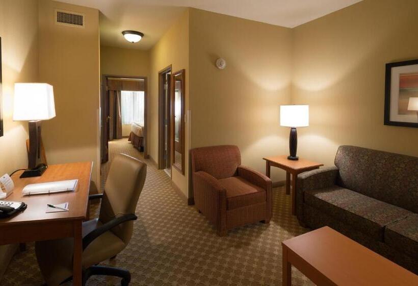 Люкс Кровать Кинг, Holiday Inn Express Hotel & Suites Chicago West Roselle, An Ihg