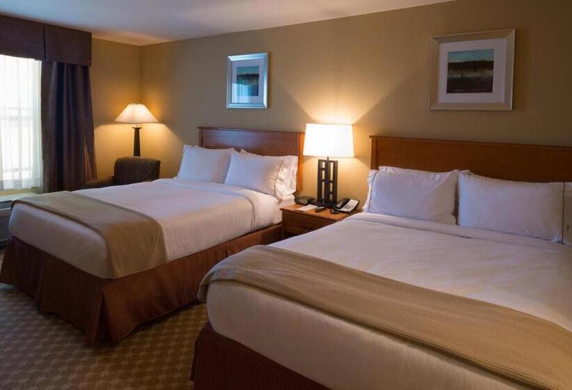 Номер Стандарт, Holiday Inn Express Hotel & Suites Chicago West Roselle, An Ihg