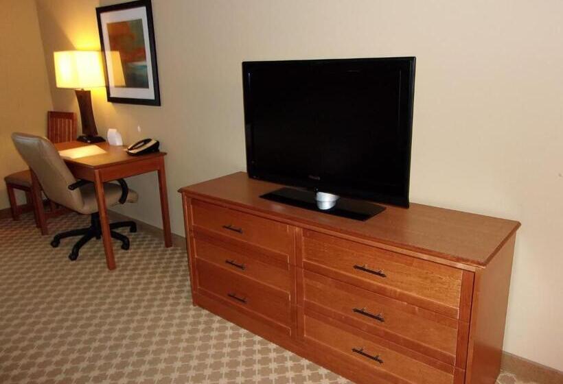 Номер Стандарт, Holiday Inn Express Hotel & Suites Chicago West Roselle, An Ihg