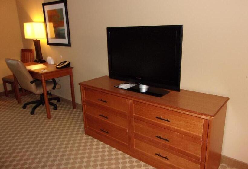 Стандартный Номер Кровать Кинг, Holiday Inn Express Hotel & Suites Chicago West Roselle, An Ihg