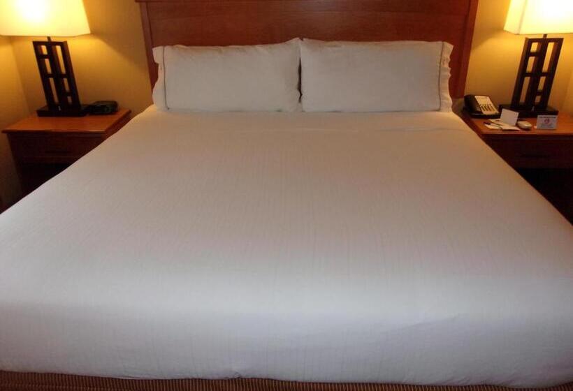 Номер Стандарт Кровать Кинг Адаптированный для Инвалидов, Holiday Inn Express Hotel & Suites Chicago West Roselle, An Ihg