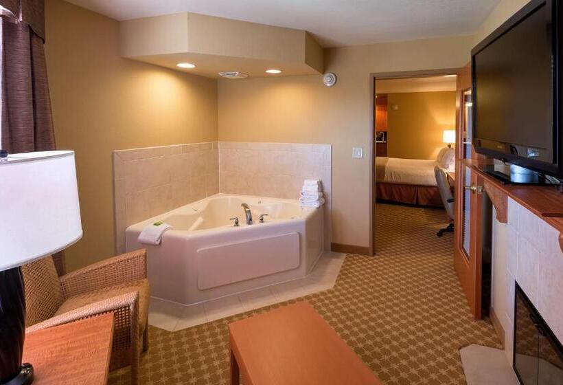 Люкс Superior, Holiday Inn Express Hotel & Suites Chicago West Roselle, An Ihg