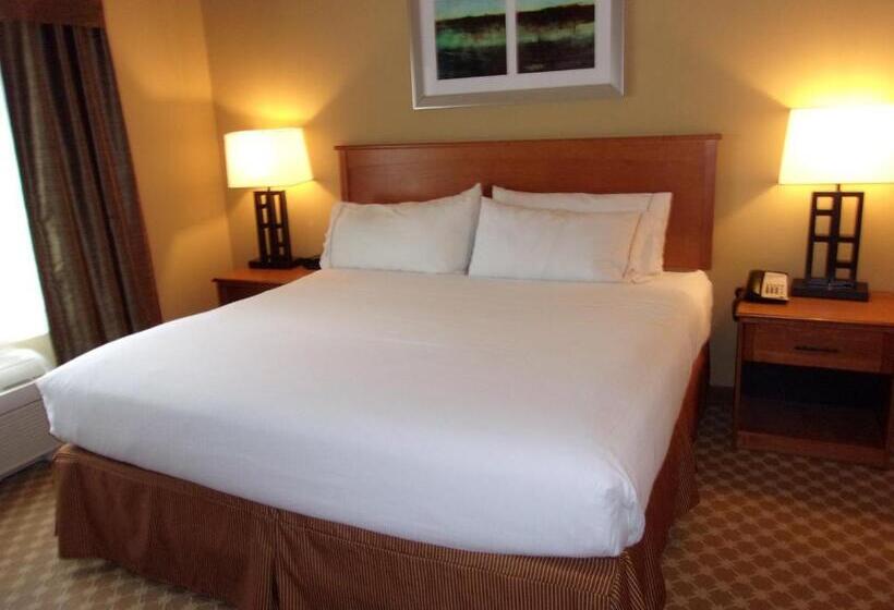 Люкс Адаптированный для Инвалидов, Holiday Inn Express Hotel & Suites Chicago West Roselle, An Ihg
