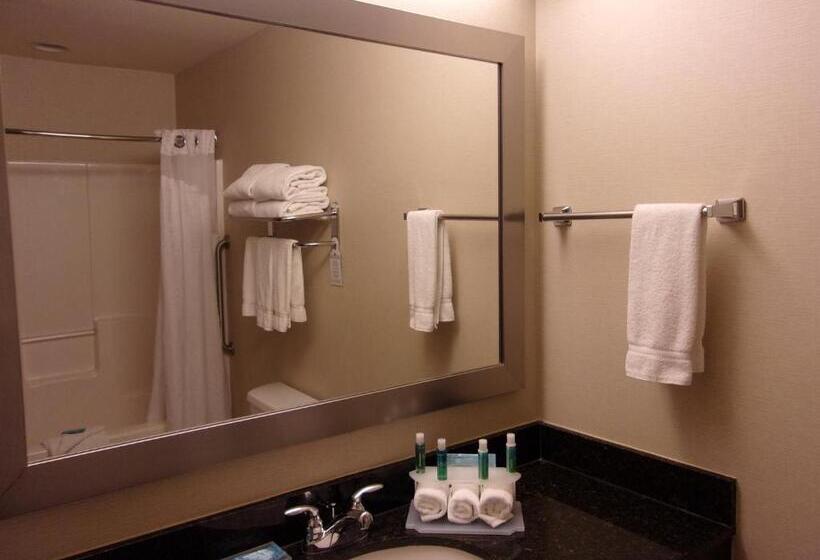 Люкс Повышенной Комфортности, Holiday Inn Express Hotel & Suites Chicago West Roselle, An Ihg