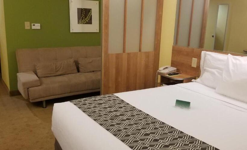 Люкс Адаптированный для Инвалидов, Microtel Inn & Suites By Wyndham Delphos