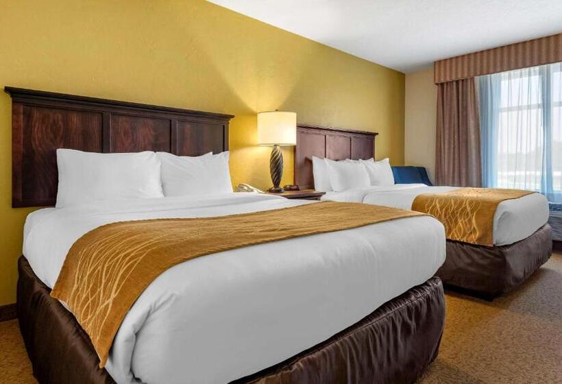 Люкс, Comfort Inn & Suites