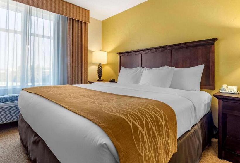Номер Стандарт Кровать Кинг Адаптированный для Инвалидов, Comfort Inn & Suites