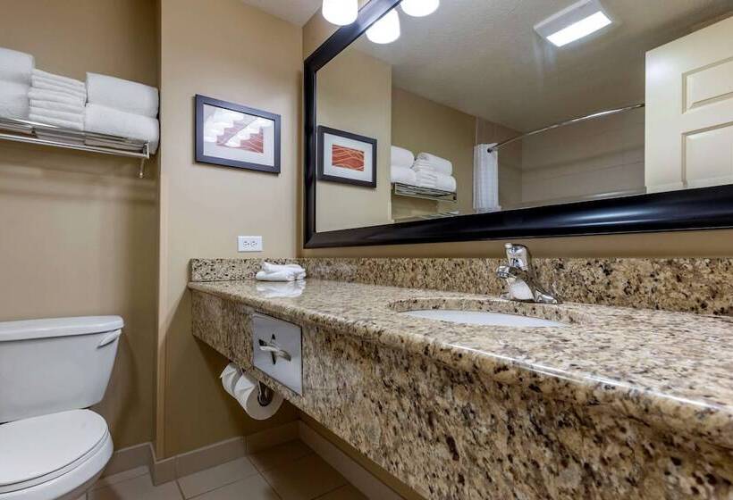 Люкс, Comfort Inn & Suites
