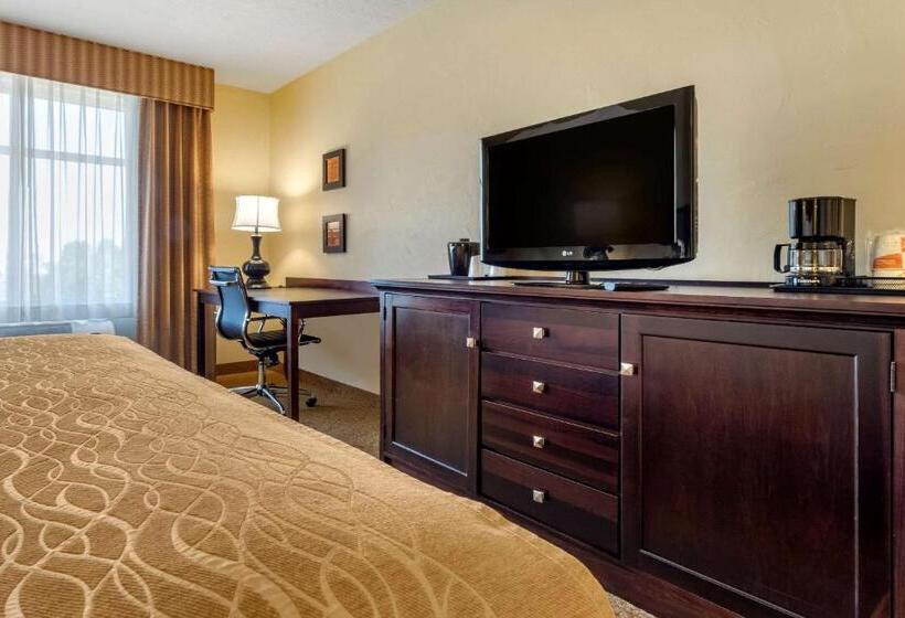 Люкс Адаптированный для Инвалидов, Comfort Inn & Suites